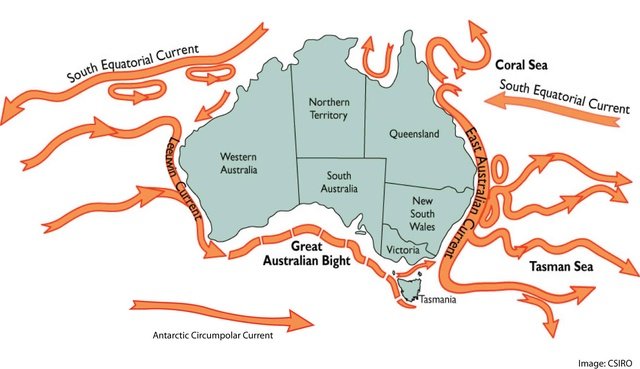 East Australian Current